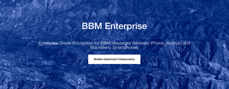 bbm_enterprise1